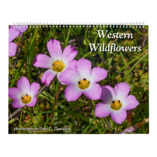 Western Wildflowers 2025 Calendar
