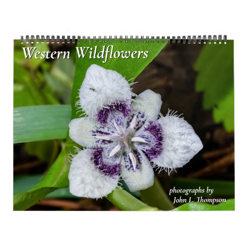 Western Wildflowers Calendar for 2024