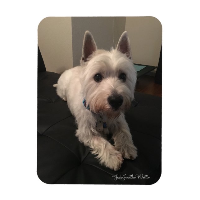 Westie 3"x4" Photo Magnet (Vertical)