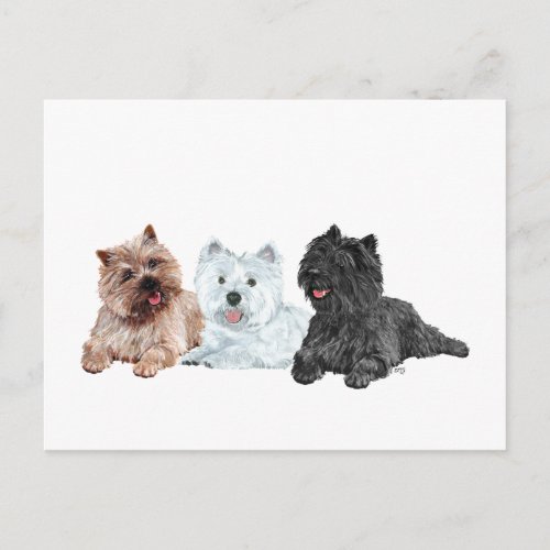 Westie and Cairn Terriers Postcard