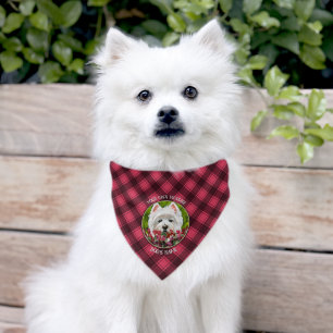 Westie and Pink Flowers Pet Bandana Collar