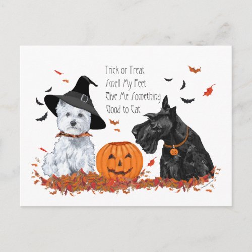 Westie and Scottie Halloween Holiday Postcard