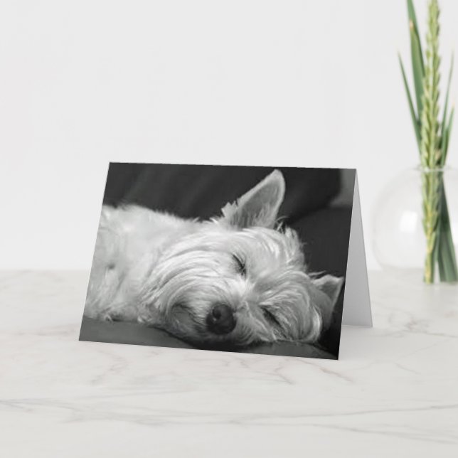 Westie Asleep Card (Front)