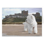 Westie at Bamburgh Castle (Front Horizontal)