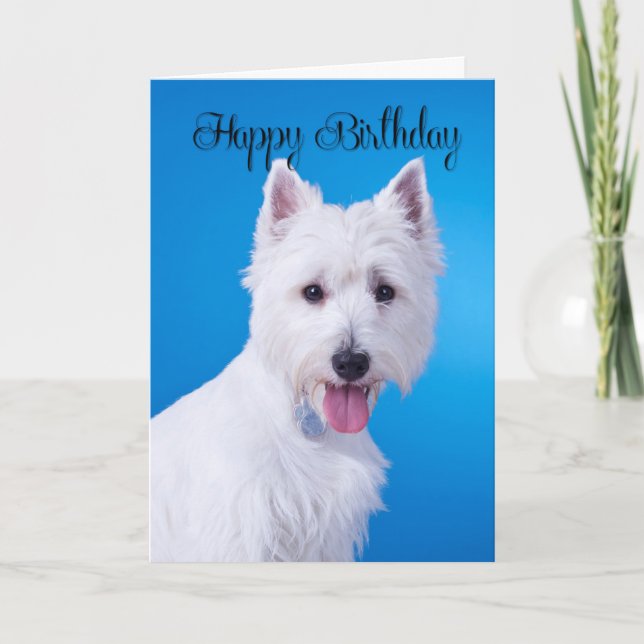 Westie Birthday Card (Front)