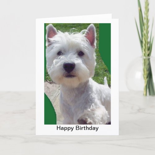 Westie Birthday Card Greetings Card paw up Hello