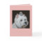 Westie card