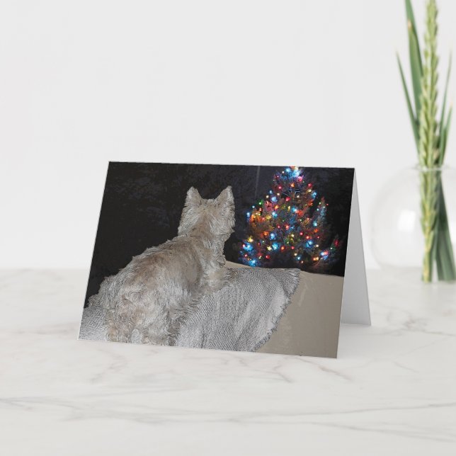 WESTIE CHRISTMAS AWE HOLIDAY CARD (Front)