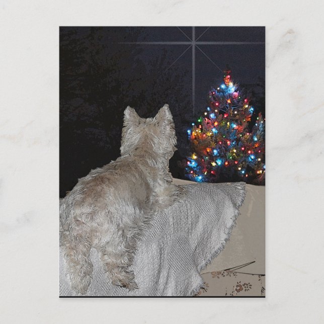 WESTIE CHRISTMAS AWE HOLIDAY POSTCARD (Front)