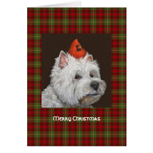 Westie Christmas card | Zazzle