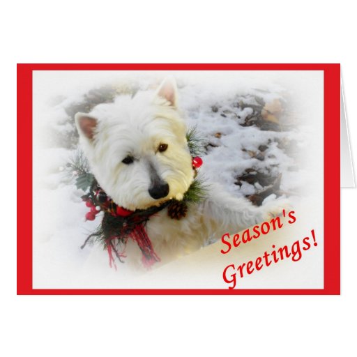 Westie Christmas Card | Zazzle