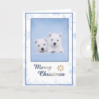 Westie Christmas Card by petsArt at Zazzle