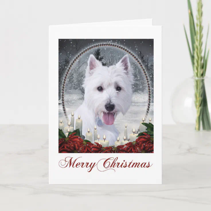 Westie Christmas Card Zazzle