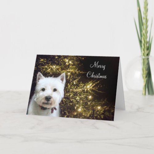 Westie Christmas Holiday Card