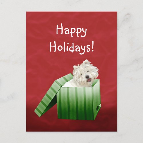 Westie Christmas Holiday Postcard