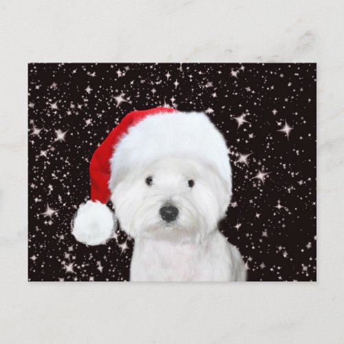 Westie Christmas Postcard