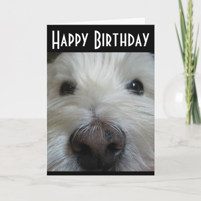 Westie Closeup Nose Photo Greeting Card (Front)