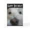 Westie Closeup Nose Photo Greeting Card