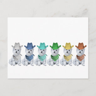 Westie Cowboys All in a Line Postcard