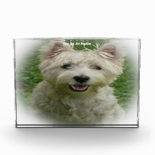 Westie Dog. Acrylic Award