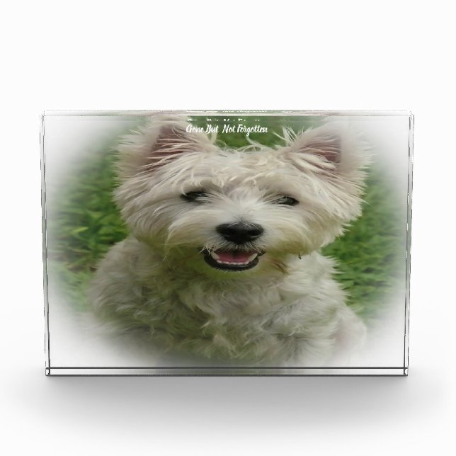 Westie Dog. Acrylic Award (Front)