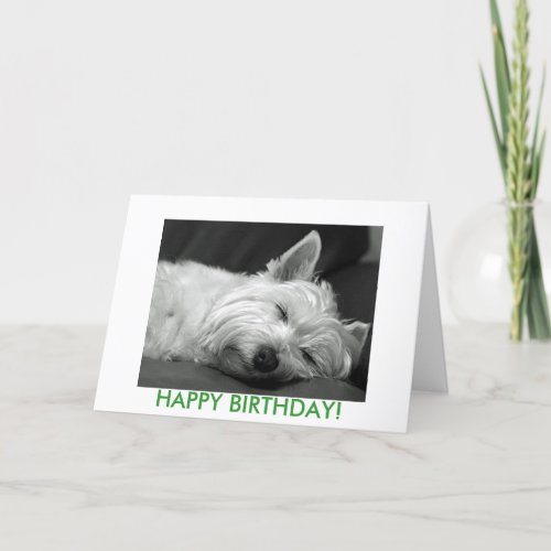 Westie Dog Birthday Card