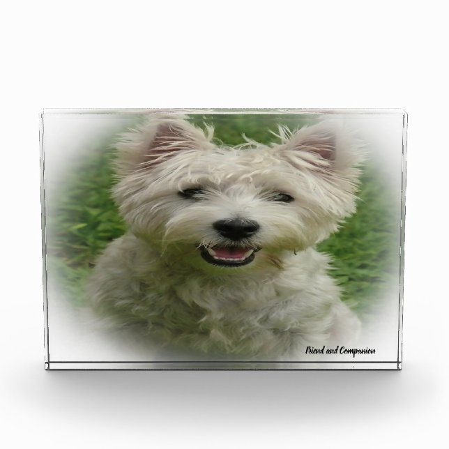 Westie Dog. Photo Block (Front)