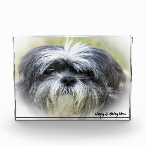 Westie Dog Photo Block