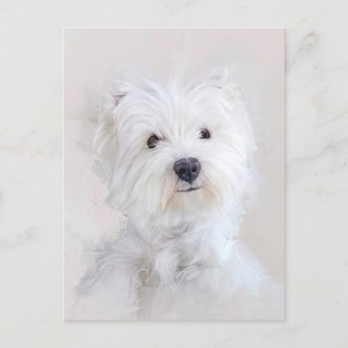 Westie Dog Portrait Postcard