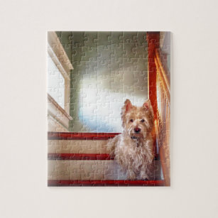 Westie Jigsaw Puzzles | Zazzle