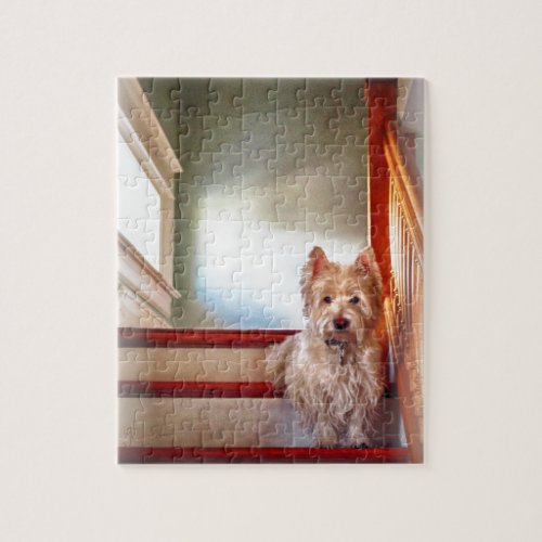 Westie Dog Sitting on the Stairs Vintage Look Jigsaw Puzzle