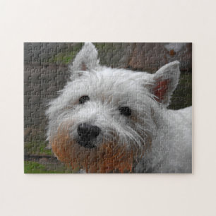 Westie Dogs Jigsaws. Jigsaw Puzzle