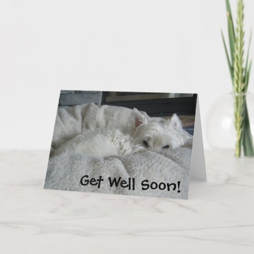 Westie Get Well Soon Photo Greeting Card