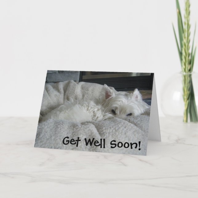 Westie Get Well Soon Photo Greeting Card (Front)