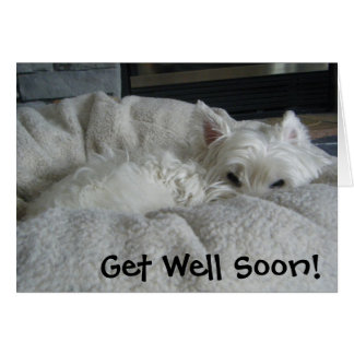 Westie Get Well Soon Photo Greeting Card