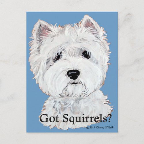 Westie  Got Squirrels Postcard