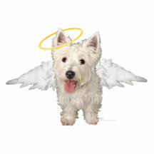 https://rlv.zcache.com/westie_guardian_angels_cutout-r54b121f9490c4fd69b7bedd6faef0f95_x7saw_8byvr_216.jpg