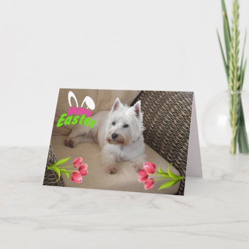 Westie Happy Easter 1 Holiday Card
