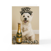 Westie Happy New Year