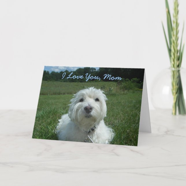 Westie I Love You Mom Happy Mother's Day Card (Front)