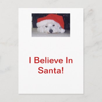 Westie In A Santa Hat Holiday Postcard by walkandbark at Zazzle