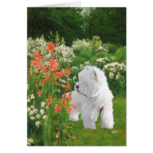 Westie in the Garden Cards (Front)