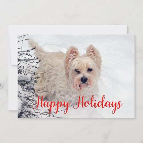 Westie in the Snow Happy Holidays Card