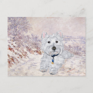 Westie in Winter Postcard