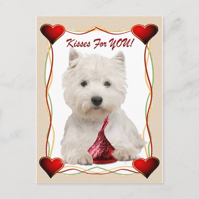 Westie Kisses For You Postcard (Front)