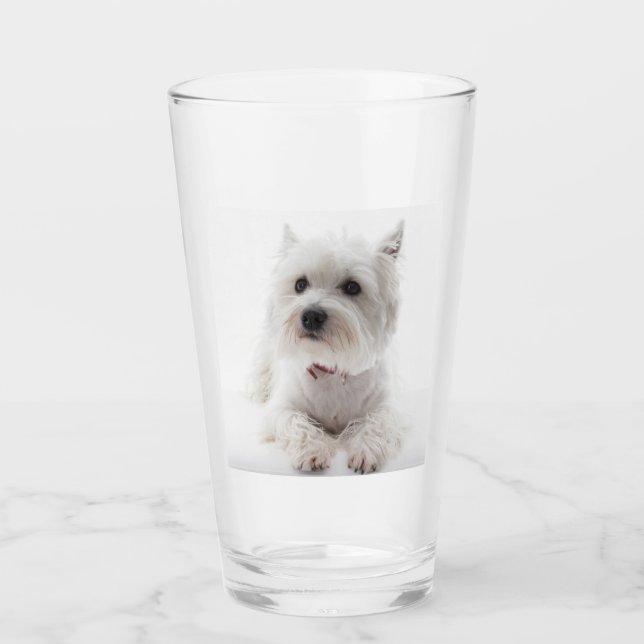 westie laying glass (Front)