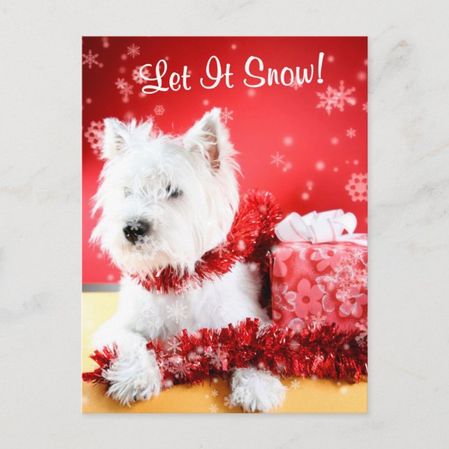 Westie Let It Snow Greeting #3 Holiday Postcard (Front)