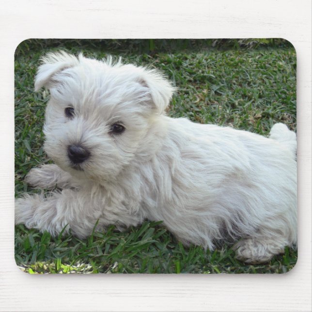 Westie Mouse Pad (Front)