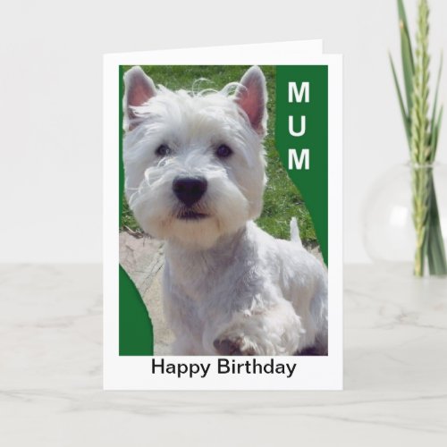 Westie Mum Birthday Card Westi Higland Terrier