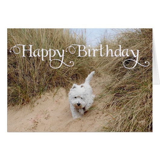 Westie on the Sand Dunes Cards (Front Horizontal)